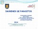 Manual_de_Imagenes de Parásitos 2 (1).Image.Marked.pdf.jpg